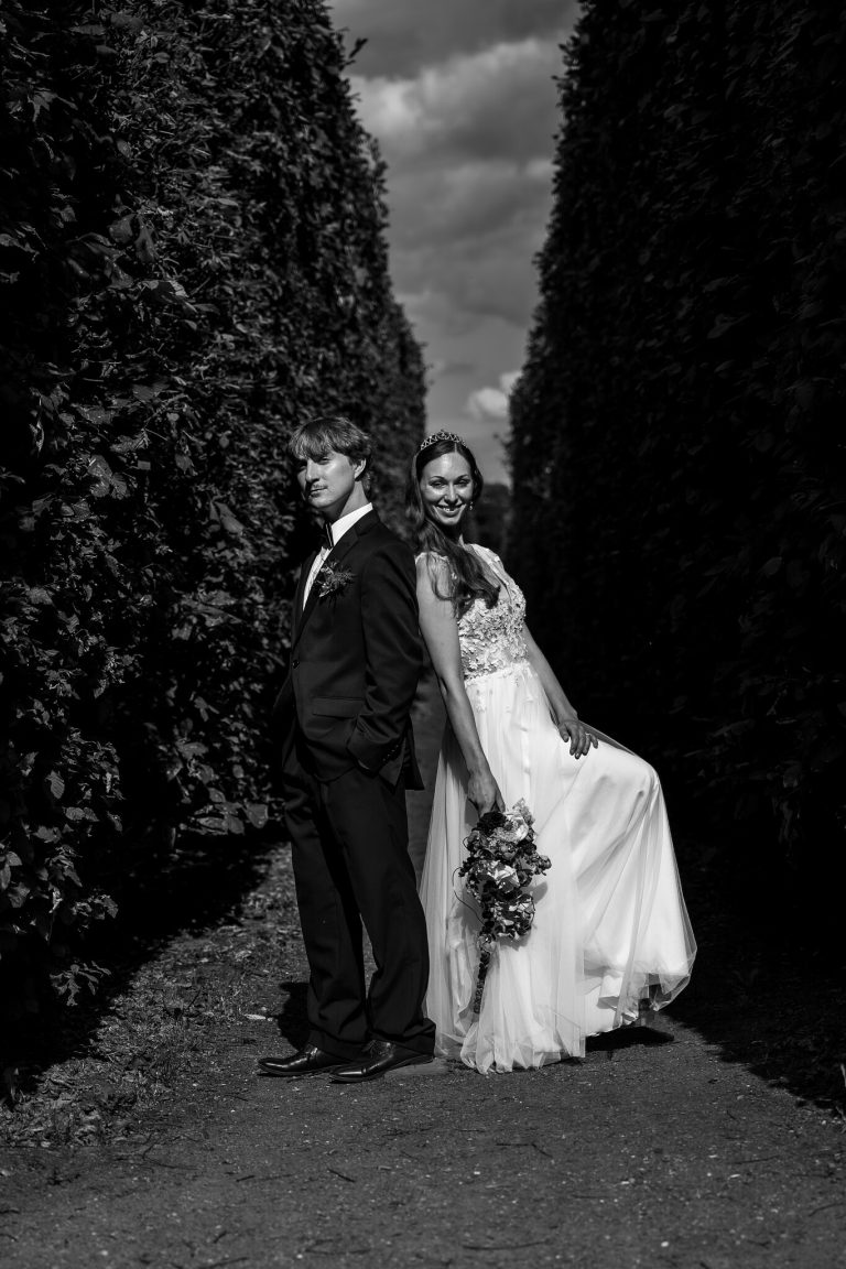 web editorial 23 07 brevnov 250