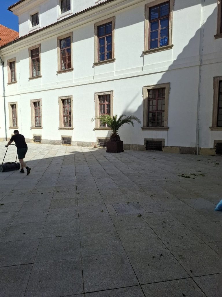 IMG 20250416 WA0019