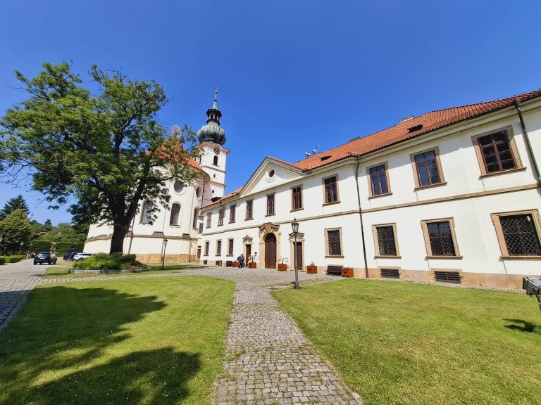 Umisteni novych kvetinacu 5
