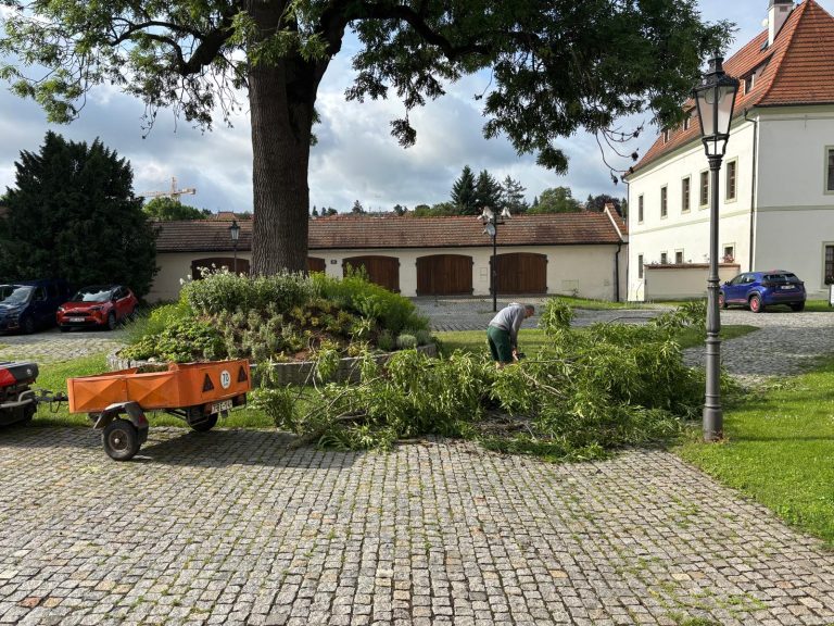 zacharnne prace po bource 2