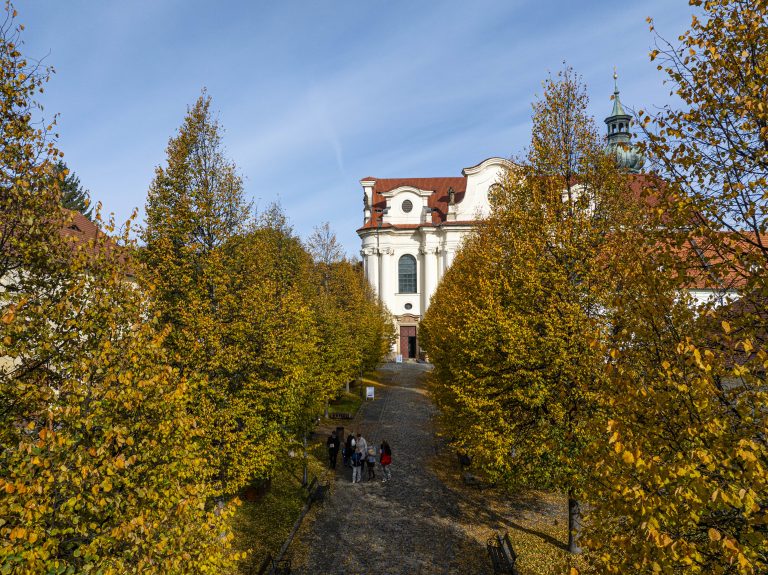 DJI 20251019103028 0575 D