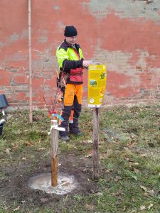 Svatoambrožské sázení v břevnovském klášteře